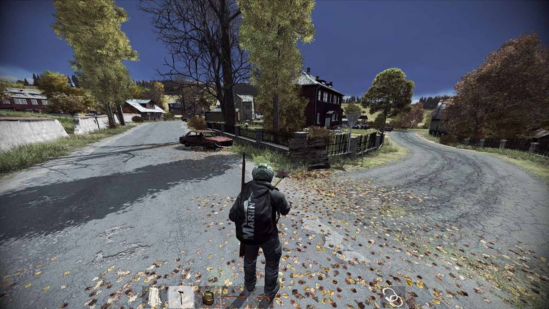 DayZScreenshot 1