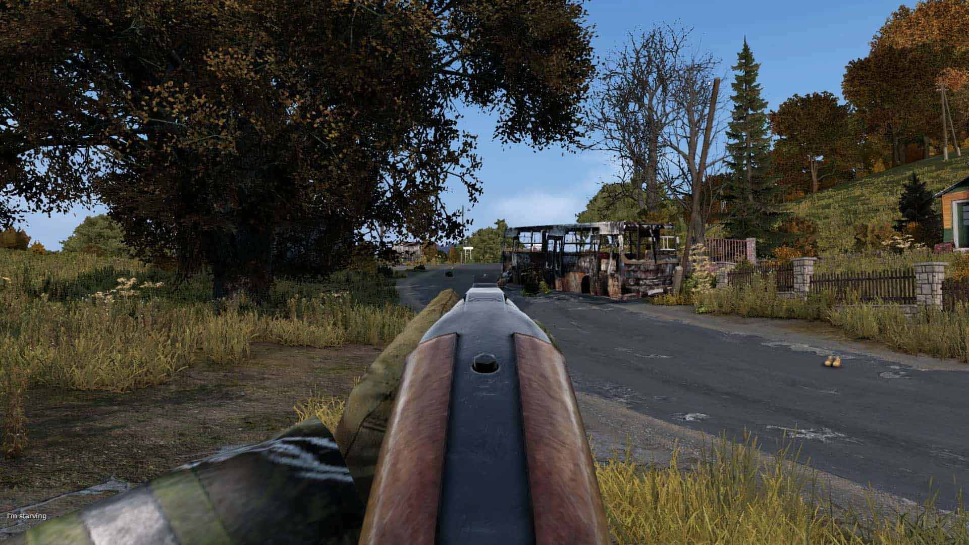 DayZ Screenshot 2